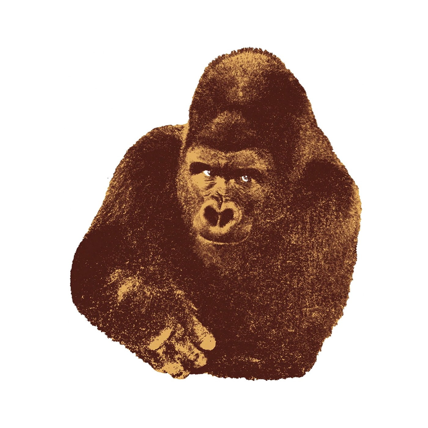 DANESE Qundici Gorilla serigrafia