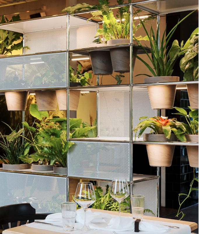 USM Haller un mondo di piante: mobile area break e ristorante- gallery