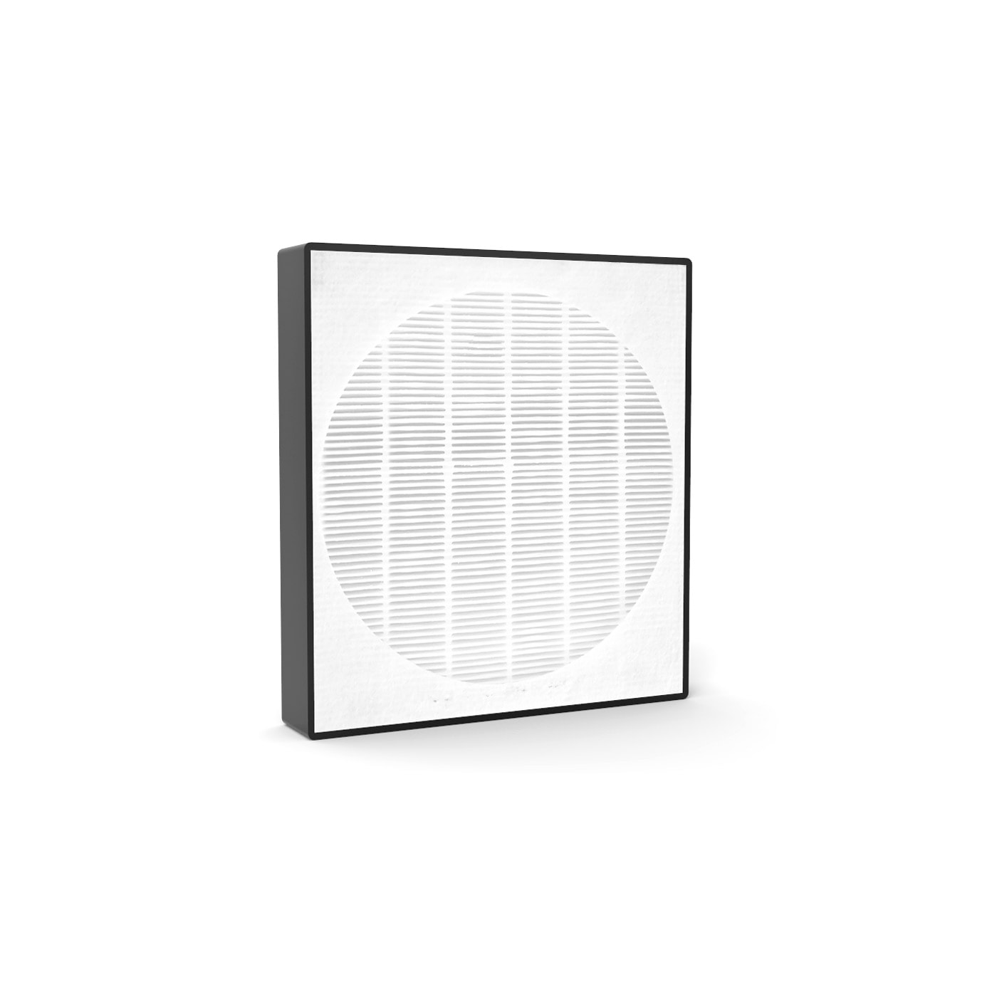 Vhbw Filtro Aria Per Purificatore ProfiCare PC-LR 3075 - Filtro Combinato Prefiltro + EPA, Sostituisce 399988